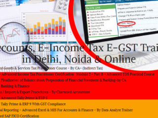certified-accounting-course-in-delhi-short-term-gst-and-custom-course-in-delhi-100-job-guarantee-course-by-sla-consultants