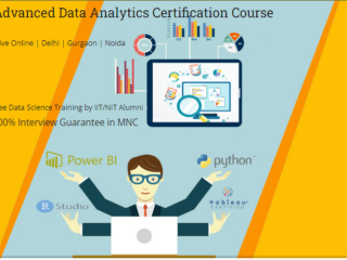 data-analyst-course-for-graduates-in-delhi-independence-day-offer-till-15-aug-by-sla-consultants-india